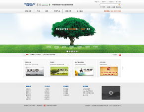 北京網站設計與網絡信息安全軟件開發 案例探析